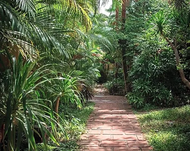 Hotel Marirath Boutique Siem Reap